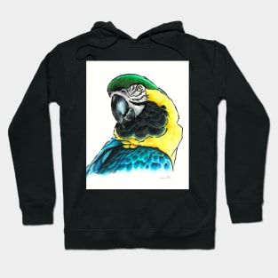 Macaw Hoodie